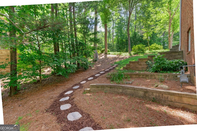 140 Longwater Cv, Roswell, GA 30075 - view of yard
