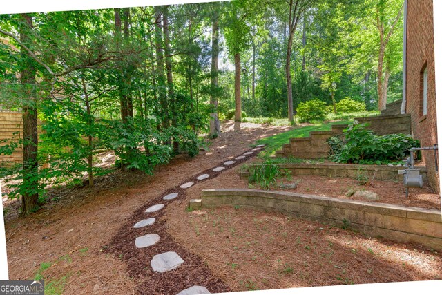 140 Longwater Cv, Roswell, GA 30075 - view of yard