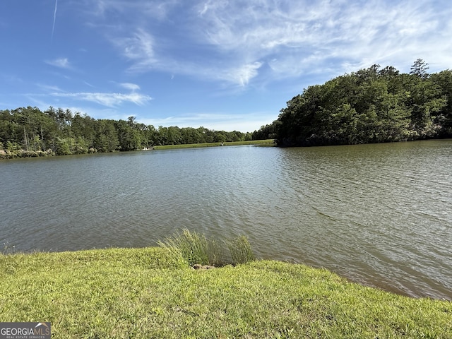 1031 Mountain Shadows Dr Unit 90A, Cleveland, GA 30528 - water view featuring a forest