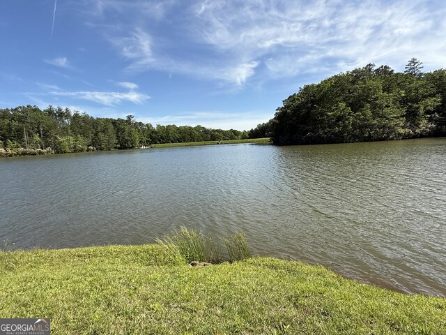 1031 Mountain Shadows Dr Unit 90A, Cleveland, GA 30528 - water view featuring a forest