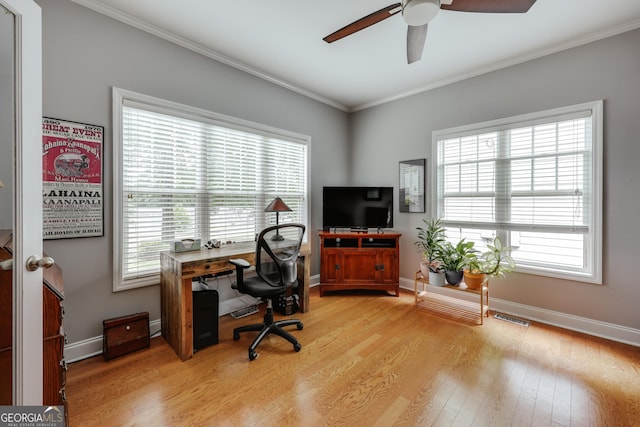 1860 Old W Broad St, Athens, GA 30606 - office area with ceiling fan, light wood-style flooring, crown molding, plenty of natural light, and baseboards