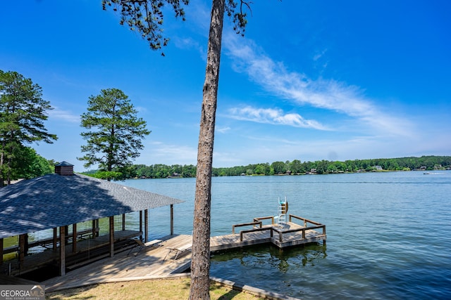 230 Kelly Dr, Hamilton, GA 31811 - dock featuring a water view