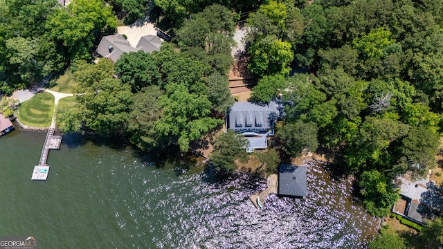 230 Kelly Dr, Hamilton, GA 31811 - aerial overview of property's location featuring a large body of water