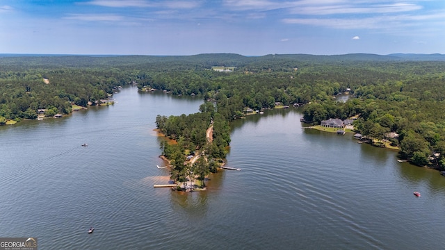 230 Kelly Dr, Hamilton, GA 31811 - aerial view of a heavily wooded area and a large body of water