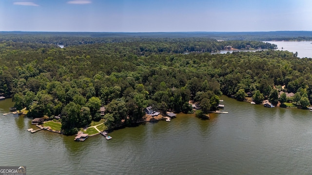 230 Kelly Dr, Hamilton, GA 31811 - aerial view of a forest and a large body of water