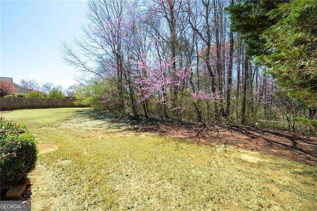 85 Stiles Dr, Dallas, GA 30132 - view of yard