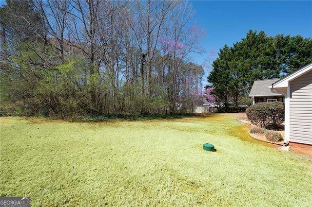 85 Stiles Dr, Dallas, GA 30132 - view of green lawn