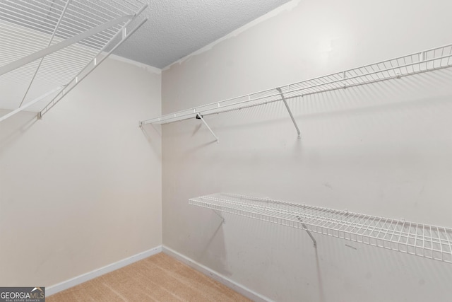 3599 Salem Glen Rd, Lithonia, GA 30038 - spacious closet with light colored carpet