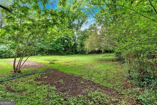 2326 Brackett St SW, Marietta, GA 30060 - view of green lawn