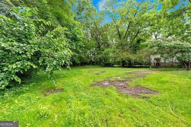 2326 Brackett St SW, Marietta, GA 30060 - view of yard