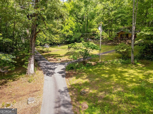 115 Jin Ln, Franklin, NC 28734 - view of home's community with a wooded view and a yard