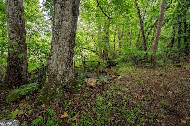 115 Jin Ln, Franklin, NC 28734 - view of woods