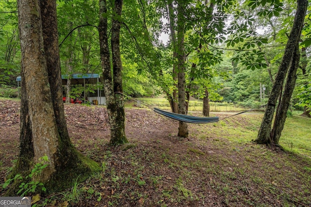115 Jin Ln, Franklin, NC 28734 - view of yard
