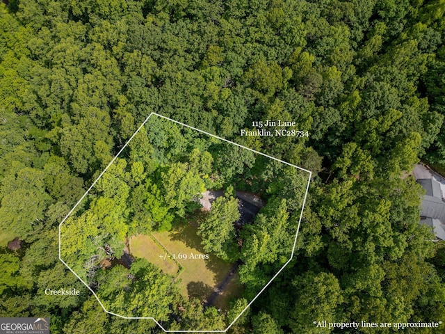 115 Jin Ln, Franklin, NC 28734 - view of property location with property boundaries highlighted and a heavily wooded area