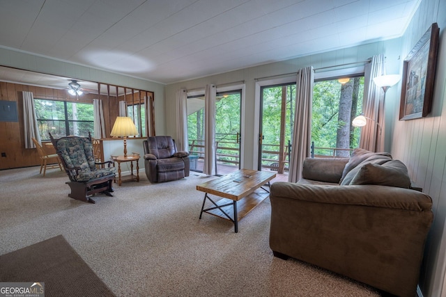115 Jin Ln, Franklin, NC 28734 - carpeted living area featuring healthy amount of natural light, wooden walls, and a ceiling fan