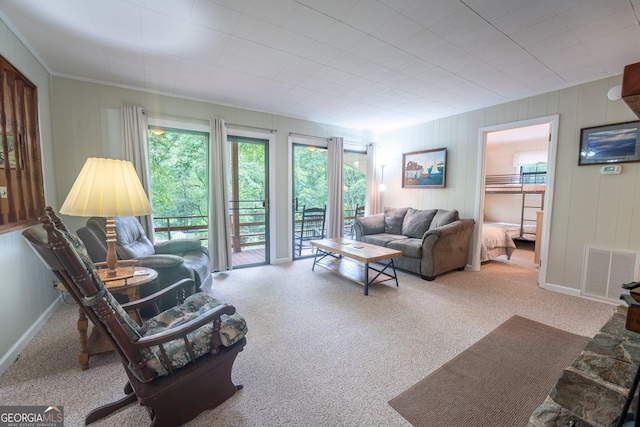 115 Jin Ln, Franklin, NC 28734 - carpeted living area with healthy amount of natural light and baseboards