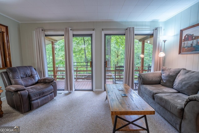 115 Jin Ln, Franklin, NC 28734 - carpeted living area with crown molding and wooden walls