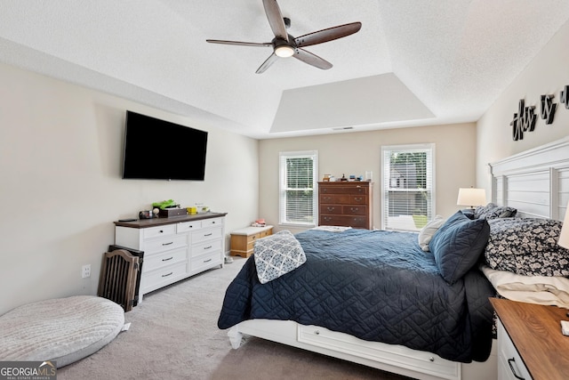 75 Hunters Ct, Dallas, GA 30157 - bedroom featuring light carpet, a tray ceiling, a ceiling fan, and a textured ceiling