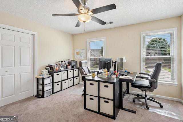 75 Hunters Ct, Dallas, GA 30157 - carpeted home office featuring a ceiling fan, healthy amount of natural light, and a textured ceiling