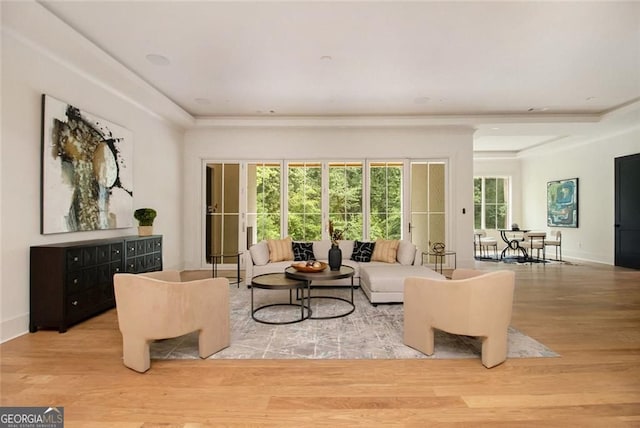 4757 Lake Forrest Dr NW, Atlanta, GA 30342 - living room featuring wood finished floors, a tray ceiling, and baseboards