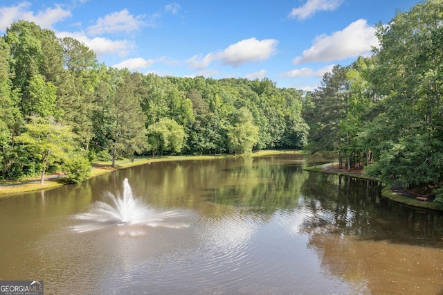 2717 Hearthstone Cir, Marietta, GA 30062 - water view featuring a heavily wooded area