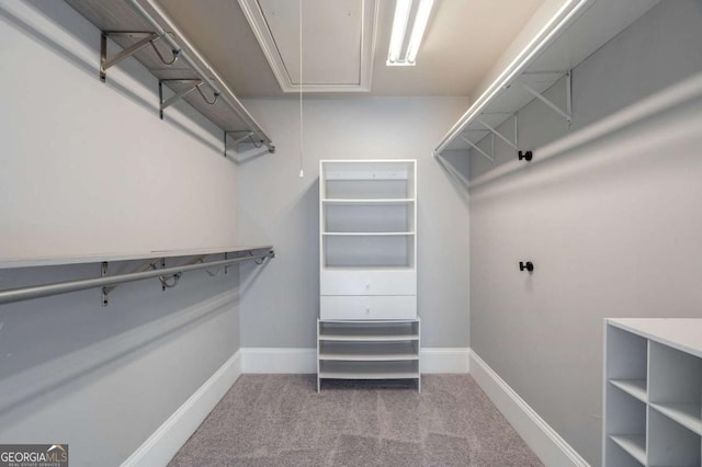 2767 Durham Dr NE, Atlanta, GA 30319 - walk in closet featuring attic access and carpet