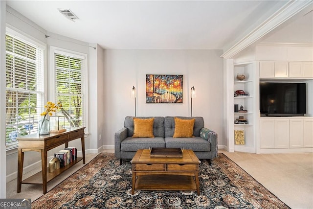 525 Arbor Creek Ct, Roswell, GA 30076 - living room with carpet flooring, baseboards, and built in features