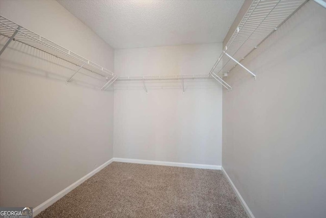 3223 Tallon Ln SW, Atlanta, GA 30311 - walk in closet with carpet