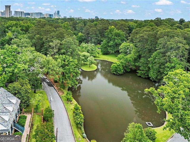 2479 Peachtree Rd NE Unit 305, Atlanta, GA 30305 - drone / aerial view of a nearby body of water