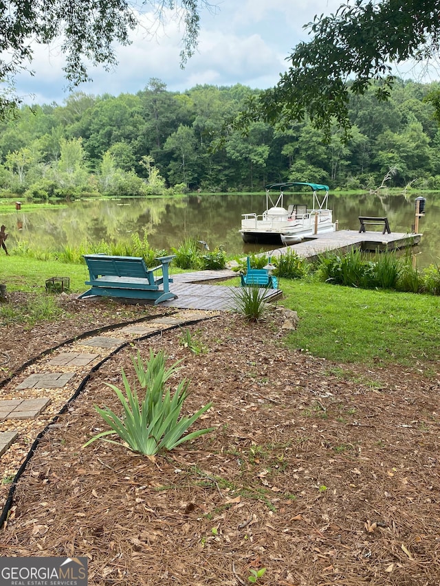 475 Harbour Shores Dr, Jackson, GA 30233 - view of property's community with a water view, a boat dock, and a view of trees