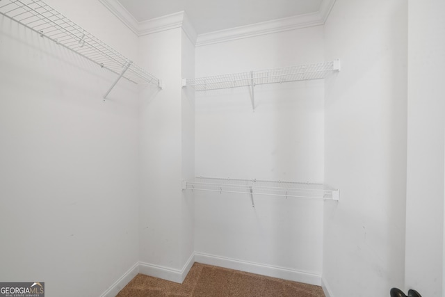 435 New St, Macon, GA 31201 - spacious closet with carpet floors