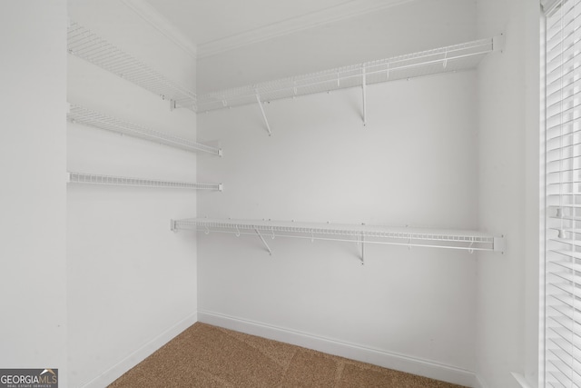 435 New St, Macon, GA 31201 - walk in closet with carpet floors