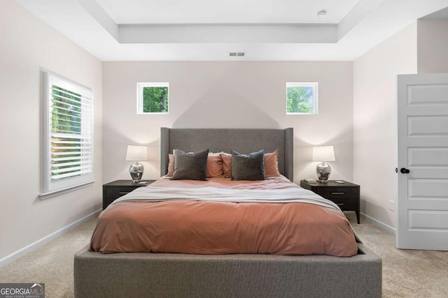 153 Witter Way, Woodstock, GA 30188 - carpeted bedroom with a raised ceiling and multiple windows