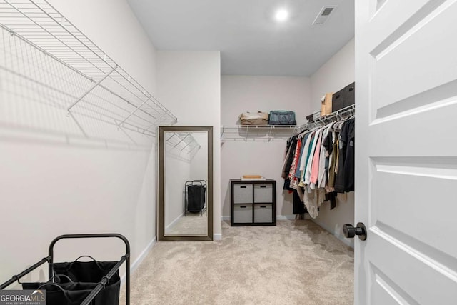 153 Witter Way, Woodstock, GA 30188 - spacious closet with carpet