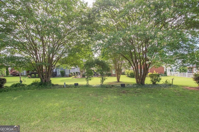 215 Fairway Ct, Newnan, GA 30265 - view of yard