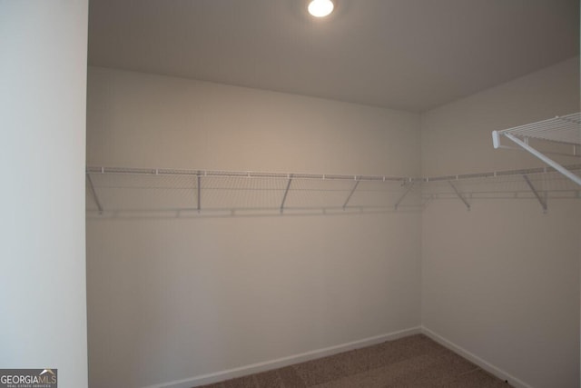 280 River Run Dr Unit 79, Dallas, GA 30132 - walk in closet featuring carpet