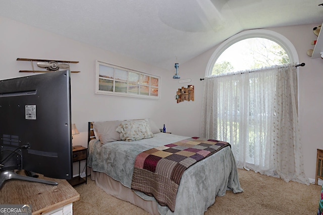 100 Huntcliff Ct, Lagrange, GA 30240 - carpeted bedroom featuring lofted ceiling