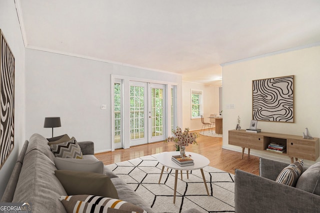 1445 Monroe Dr NE Unit F10, Atlanta, GA 30324 - living room featuring crown molding and wood finished floors