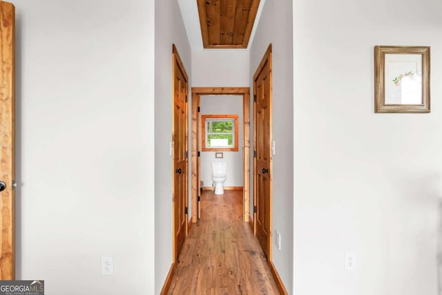 191 Rimrock Rd Unit 63, Jasper, GA 30143 - hallway with light wood finished floors and baseboards