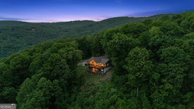 191 Rimrock Rd Unit 63, Jasper, GA 30143 - aerial view at dusk of a forest view