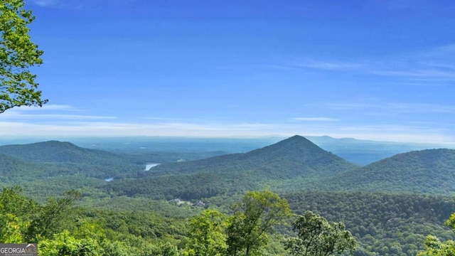 191 Rimrock Rd Unit 63, Jasper, GA 30143 - view of mountain backdrop with a forest