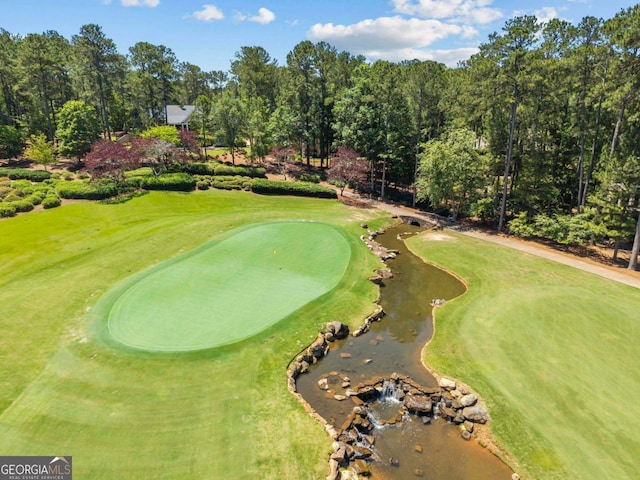 1031 Sugar Run, Greensboro, GA 30642 - view of community featuring view of scattered trees and golf course view