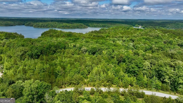 0 Millstone Creek Rd, Elberton, GA 30635 - drone / aerial view of a heavily wooded area