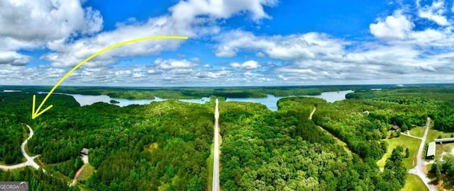 0 Millstone Creek Rd, Elberton, GA 30635 - bird's eye view of a large body of water