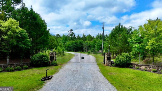 0 Millstone Creek Rd, Elberton, GA 30635 - view of dirt / gravel driveway featuring a gate and a gated entry