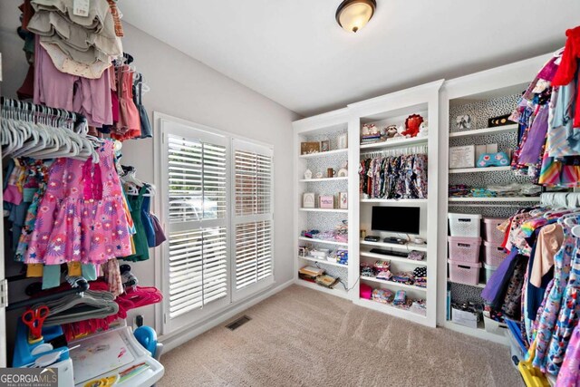 117 Willow View Ln, Canton, GA 30114 - walk in closet featuring carpet