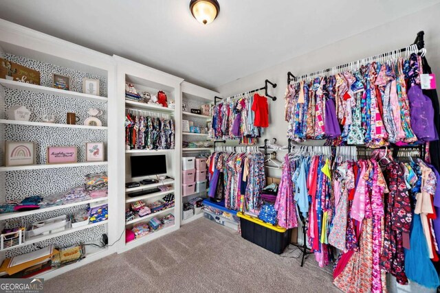 117 Willow View Ln, Canton, GA 30114 - walk in closet featuring carpet