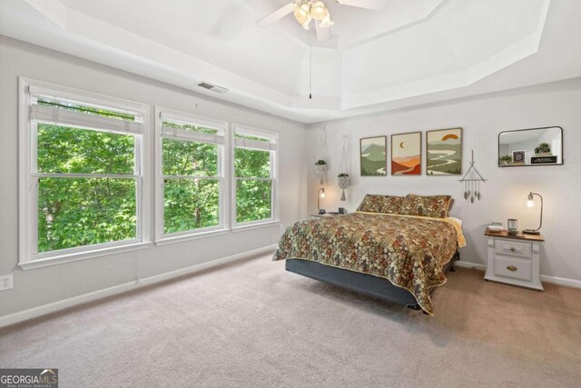 117 Willow View Ln, Canton, GA 30114 - carpeted bedroom featuring a raised ceiling and ceiling fan
