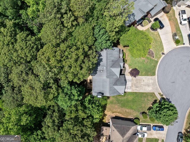 117 Willow View Ln, Canton, GA 30114 - aerial view of property and surrounding area