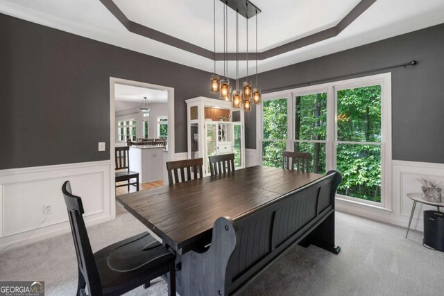 117 Willow View Ln, Canton, GA 30114 - carpeted dining room featuring a wainscoted wall, a chandelier, a decorative wall, and a tray ceiling